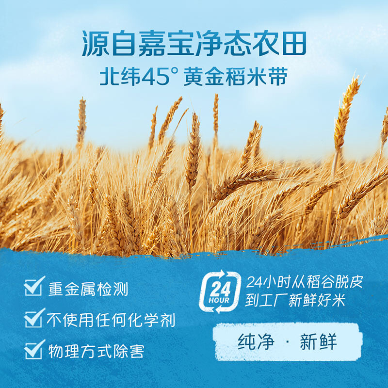 GERBER fortified calcium, iron, zinc and high-iron rice cereal for infants and young children, vitamin C + iron 250g 6 months + 100% authentic factory