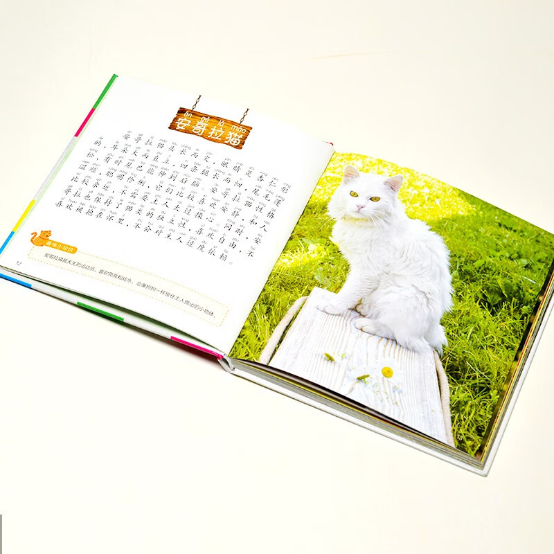 Cat Encyclopedia (1-Minute Children's Encyclopedia) Soft Pack Hardcover Audiobook Phonetic Version Popular Science Readings 3-6-8 Years Old Kindergarten Grade 1, 2, and 3