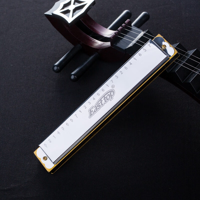 EAST TOP 24-hole polyphonic harmonica T2401S silver cover red plastic box entry-level model