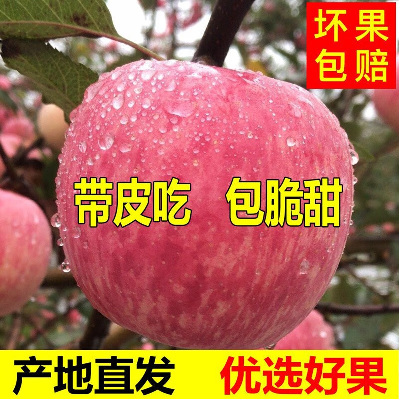 Erdie Shaanxi Red Fuji Apple Fresh Fruit 10 Jin Rock Candy Heart Seasonal Ugly Apple Seasonal Fruit Crisp Sweet Whole Box Selected 9 Jin Pack Net Weight 8.5 Jin 80-85mm
