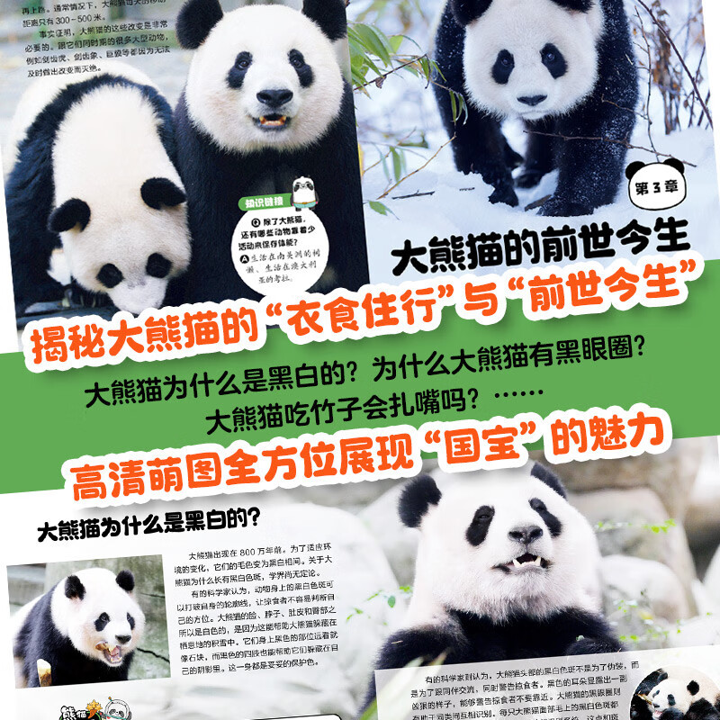Guolai! Giant Panda This is an original giant panda encyclopedia that explains the knowledge of giant pandas from all aspects and from multiple angles. It contains precious pictures of giant pandas and records wonderful moments such as games, eating, and fighting. It also specially includes the profiles of celebrity pandas Huahua, Heye, Menglan, and Qizai.