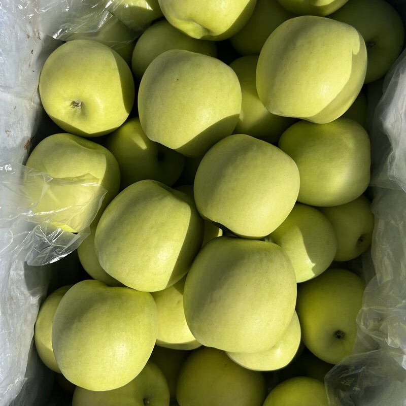 Shuaidui Shaanxi Baishui Ruixue Apple Authentic 2025 Season Fresh Crisp Sweet Fragrant Green Apple Premium Fruit Gift Box Full Box Selected 4.5 Jin Small Fruit 70-75mm About 13-16 Pieces