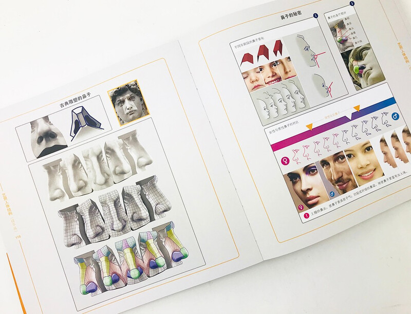 Human body structure for art (essence version)