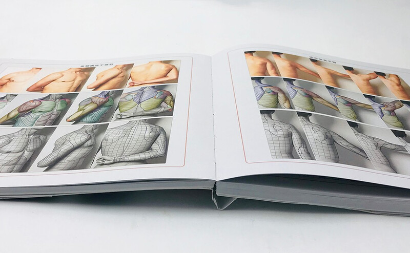 Human body structure for art (essence version)