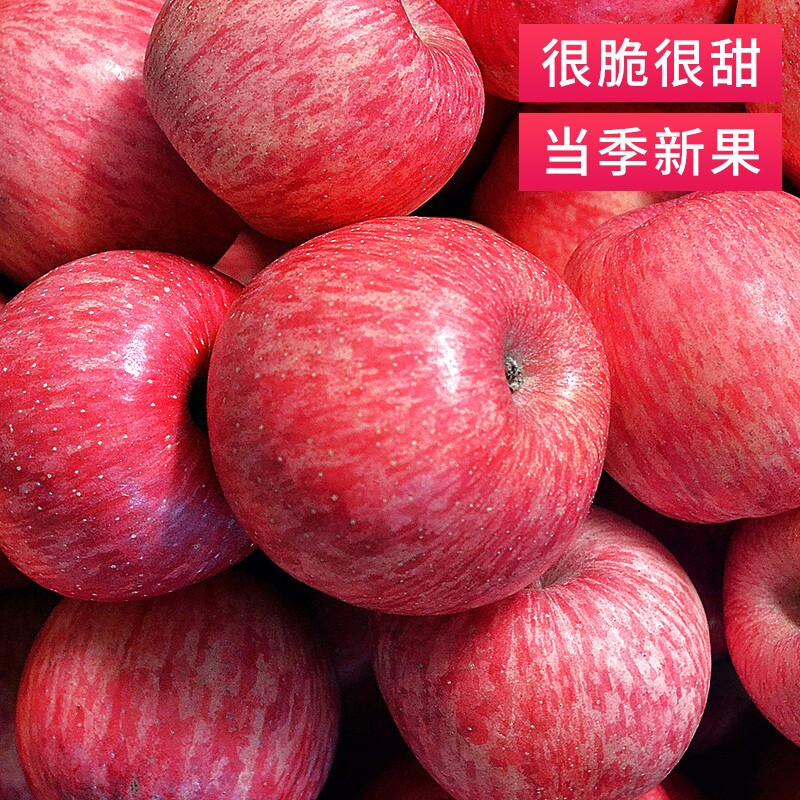 Baoxiansheng Authentic Shaanxi Luochuan Apple Red Fuji Crisp, Sweet and Juicy Seasonal Fresh Fruit for Pregnant Women Whole Box of Fresh Ugly Apples 80-85mm with box 10 catties (net weight 8.8 catties)