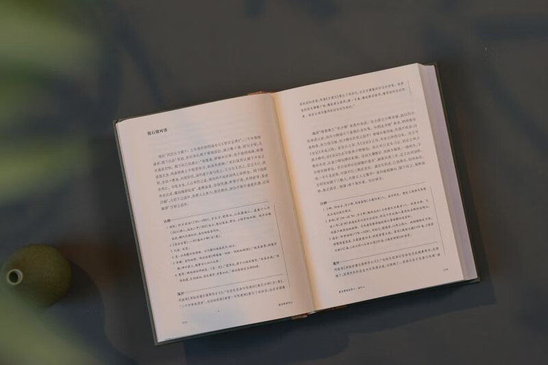 Notes on Yizhou's Double Notes