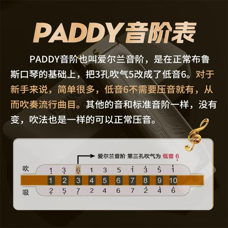 HOHNER harmonica and imported SP20 Bruce PADDY tuning 10-hole harmonica for adults and beginners.