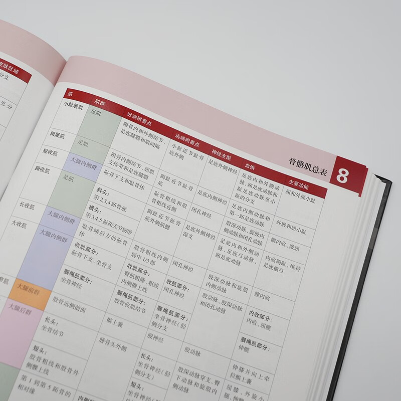 Knight's Color Atlas of Human Anatomy (8th Edition), English-Chinese, International best-selling anatomy atlas, a must-read for basic clinical medicine