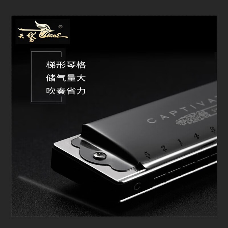 Swan German imported gongs Swan 24-hole polyphonic harmonica in C key for senior adults, beginners, middle-aged and elderly professional playing black 24-hole polyphonic C key