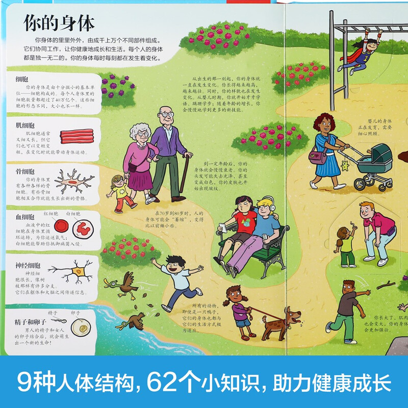 18 yuan off for purchases over 87. Revealing the Secrets of the Human Body (popular science flipping book for children aged 3-6 years old) Leyue Children’s Book Revealing Series children’s popular science pop-up books. Children’s Enlightenment Children’s Book Festival Children’s Money Saving Card