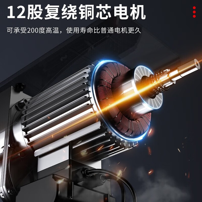 Hugong Micro Electric Hoist Wireless Remote Control 220v Small Crane Household Hoist Lifting and Loading Crane PA800-12 Meter (Remote Control and Line Control Dual Use)