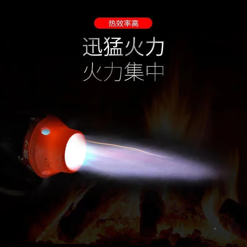Meschute German quality blowtorch gasoline diesel roasting pig hair household portable hand-held flame roasting gun for roasting bacon 80% of customers choose 1.0L gasoline blowtorch