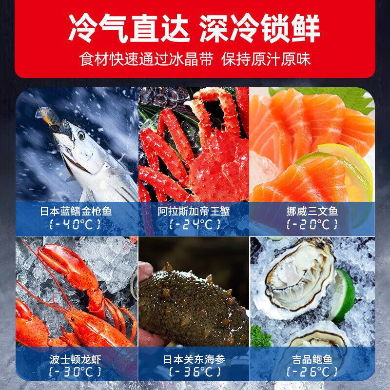 Xingx (XINGX) - 60 degree deep cooling series direct cooling single temperature horizontal quick freezing freezer commercial electronically controlled refrigeration and freezing conversion stainless steel liner energy saving subzero household temperature freezer freezer - 60 deep freezer 300 liters DW-60W300DS