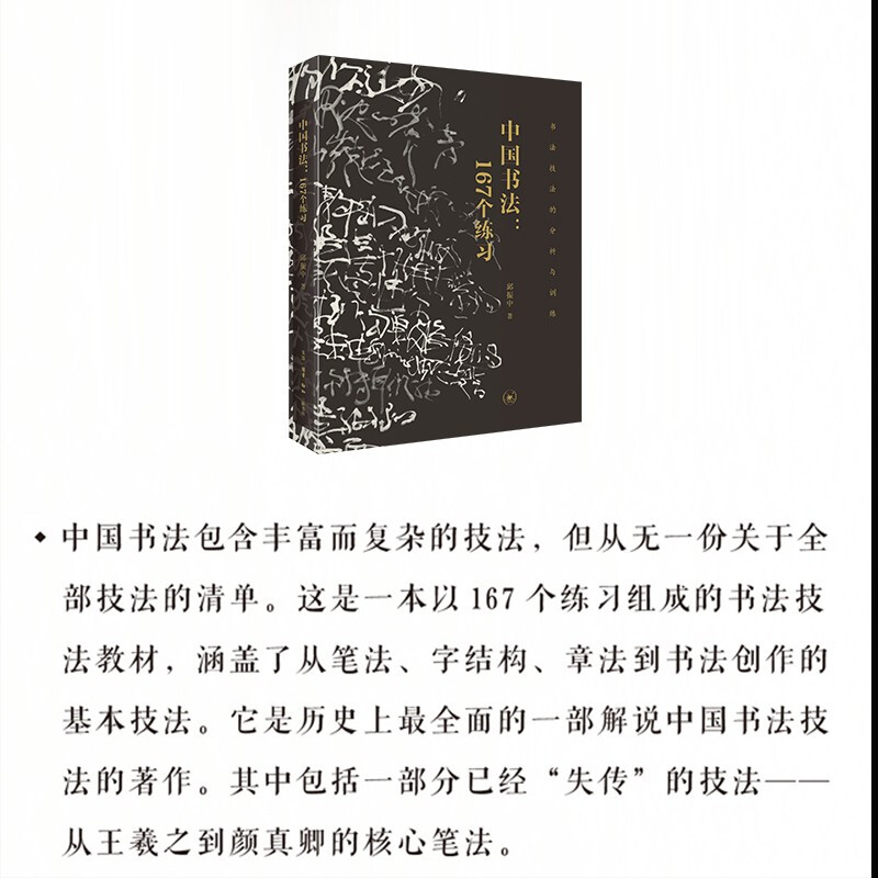 Chinese Calligraphy 167 Exercises (Analysis and Training of Calligraphy Techniques) (Updated Edition)