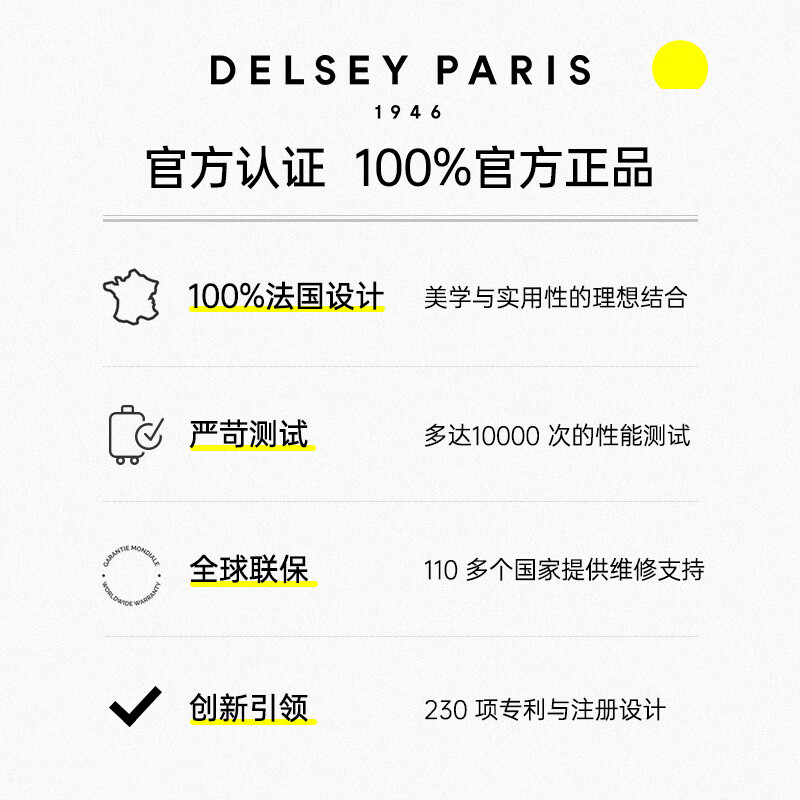 DELSEY Trolley Case French Ambassador Suitcase 20 Inch Carry-on Case SECURITECH Password Suitcase