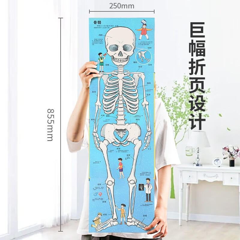 Small eyes see the big world, flip through the book and reveal the body. 3-10 years old. Multiple theme scenes, let children understand their own bodies, satisfy their curiosity and cultivate good habits. Children's books for 3 years old, 4 years old, 5 years old, 6 years old, 7 years old, 8 years old, 9 years old and 10 years old. Summer extracurricular books for independent reading. Green Hulu