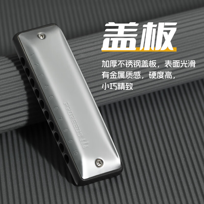 BoogieMAN Yuanyuan's same model ProReeds ten-hole harmonica paddy blues for adults and children beginners blues 10 holes