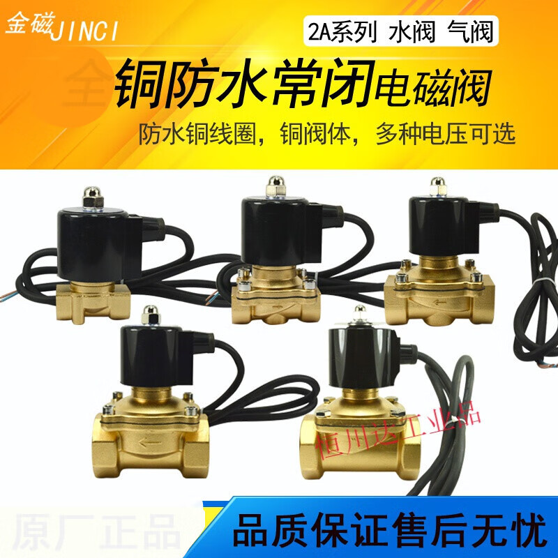 Jump spring normally closed solenoid valve underwater waterproof solenoid switch control valve 220V24V 4 minutes 6 minutes 1 inch copper coil DN50 2 inch AC220V