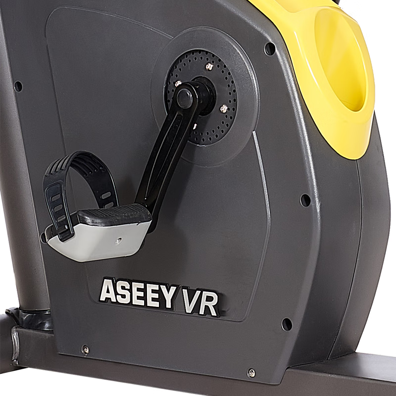 ASEEY VR6 recumbent bicycle