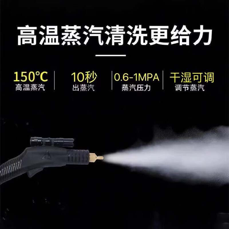 Ruizhi household appliances, commercial multi-function, full set of air-conditioning, kitchen special cleaning all-in-one machine, high pressure and high temperature steam cleaning machine, disinfection, car beauty film, interior nail removal, 3600W five-in-one (cold water hot water steam pulse ozone)