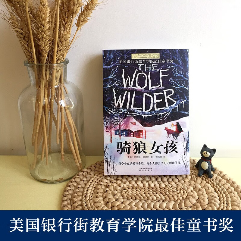 The Ivy International Award-winning novel The Girl Riding a Wolf, with themes of love, family, courage and other themes, must-read for primary and secondary schools in grades 3, 4, 5 and 6, an extracurricular reading of the International Children’s Literature Award classics that affects children’s lives.