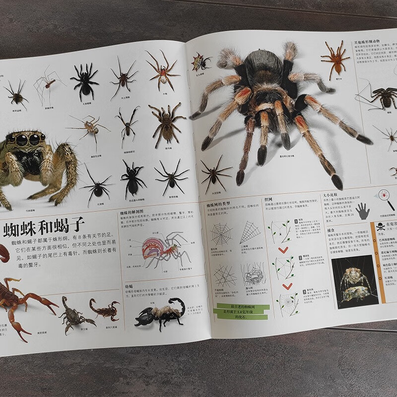 DK Encyclopedia of Everything, hardcover collection, every page is an encyclopedia, general science for primary school students, knowledge collection for 6-14 years old, one-stop solution to all questions