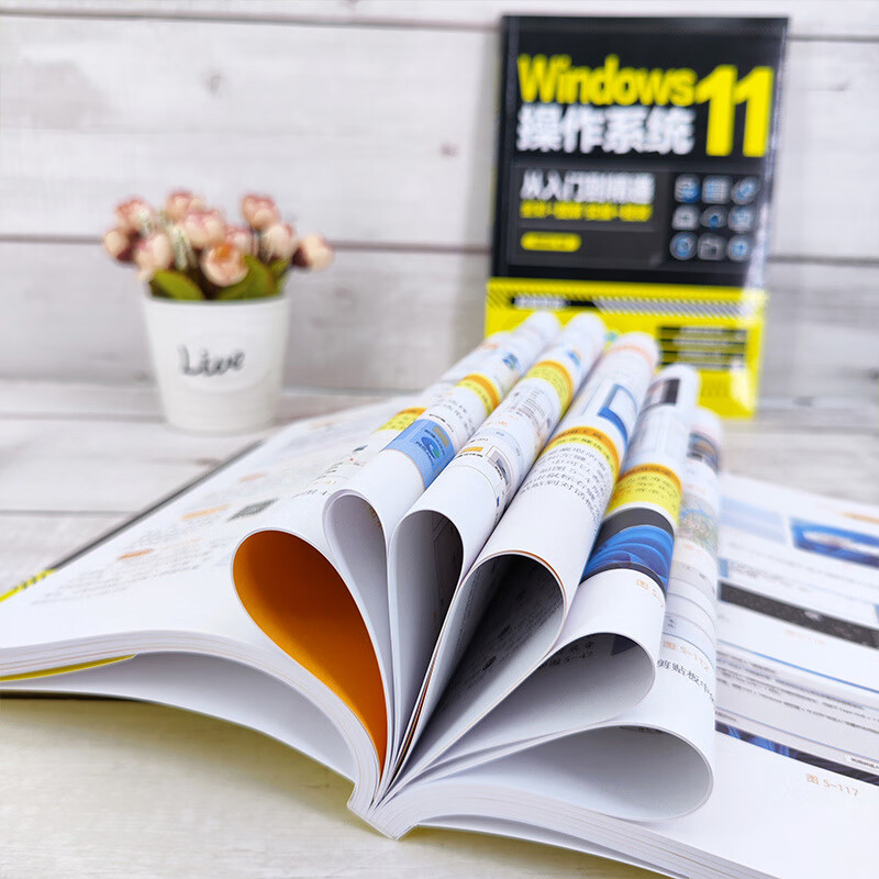 Windows 11 operating system from entry to proficiency