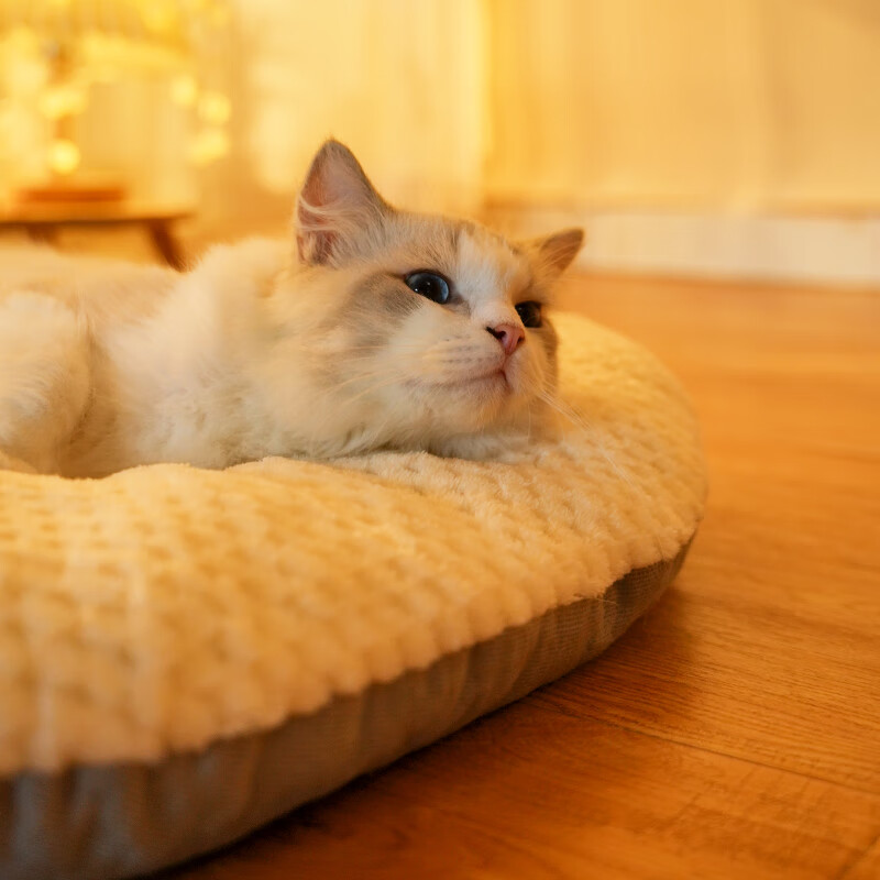 Fandu pet house kennel mat sleeping mat thickened plus velvet washable cat mattress winter warm cat sleeping mat medium size