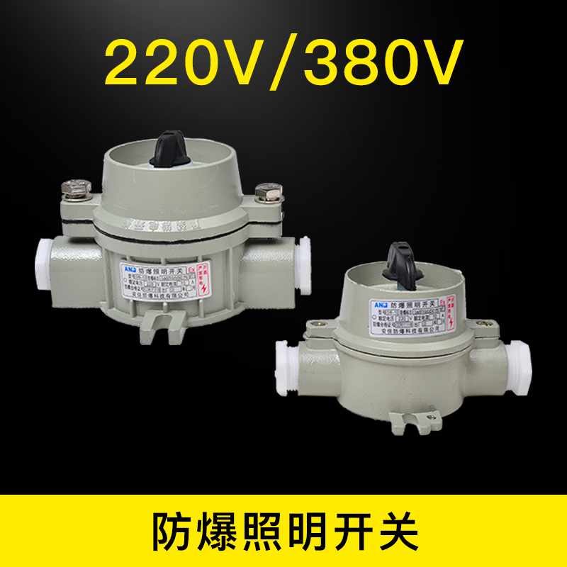 Anjia explosion-proof lighting switch SW-10 single control double control BQM86 type 220V/380V engineering model 220V