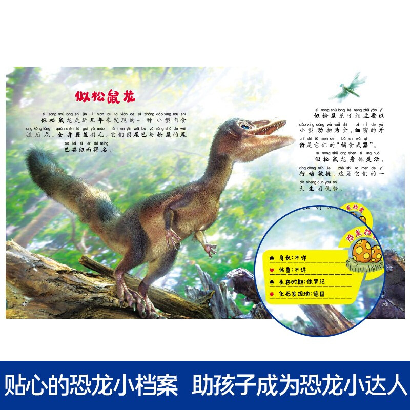 Little Stupid Bear Dinosaur Encyclopedia (12 volumes in total) Triassic + Jurassic + Cretaceous + Carnivorous Herbivorous Dinosaurs + Agile and Strange Dinosaurs 3-6 years old Children's edition color picture phonetic picture book