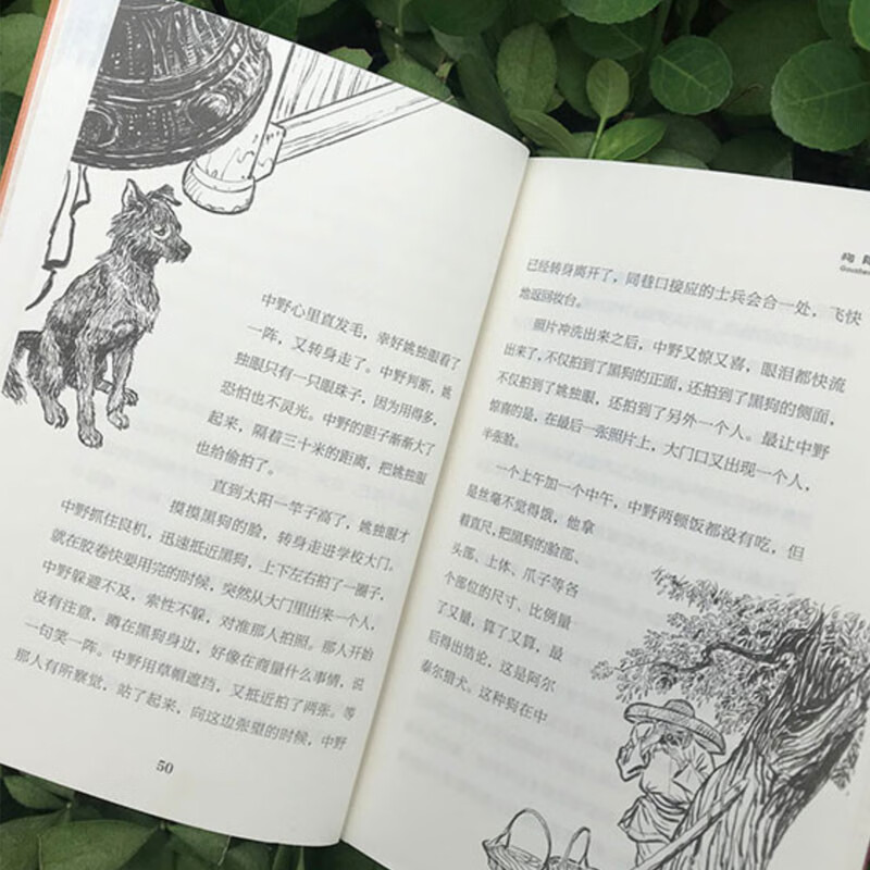 Dog Formation (An Anti-Japanese War story told to children by the Mao Dun Literature Award-winning author)