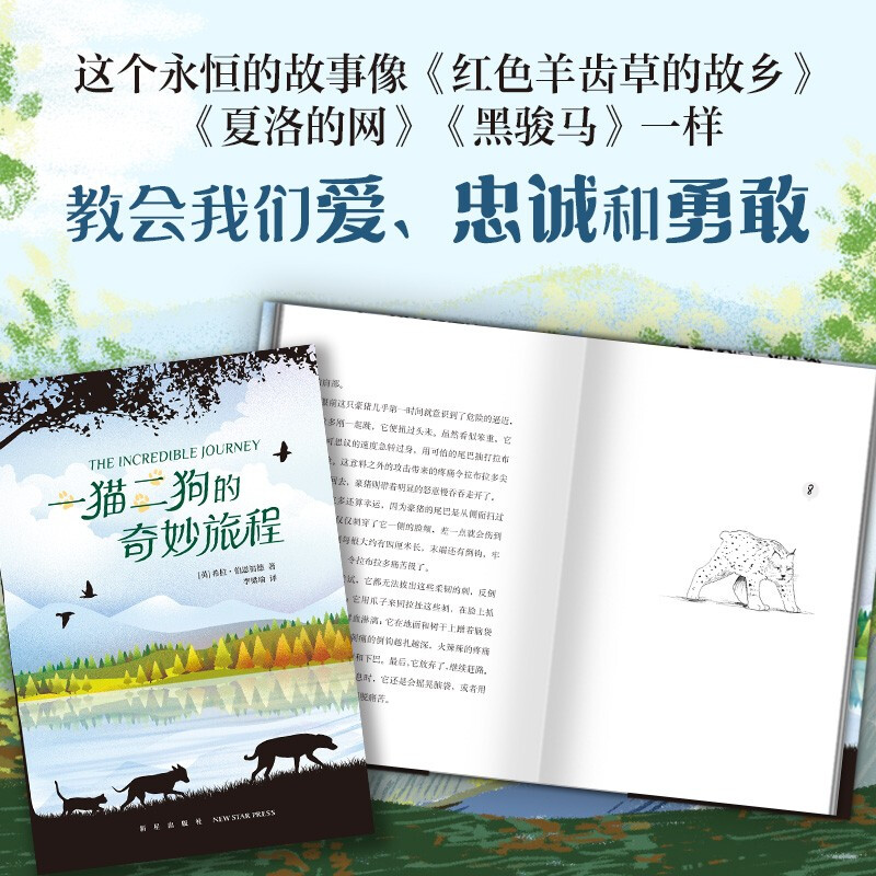 The Wonderful Journey of One Cat and Two Dogs (The Love Tree Children’s Book) The connection between primary and secondary levels and the connection between primary school and primary school.