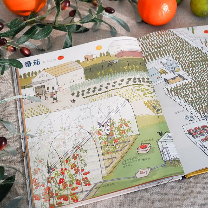 Where our food comes from