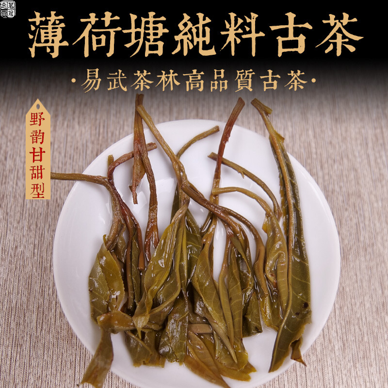 Mingguan Zhongpin 23-year-old spring tea Mintang pure ancient tree loose tea Yiwu high-end tea Yunnan ancient tree tea Pu'er tea loose tea 500g