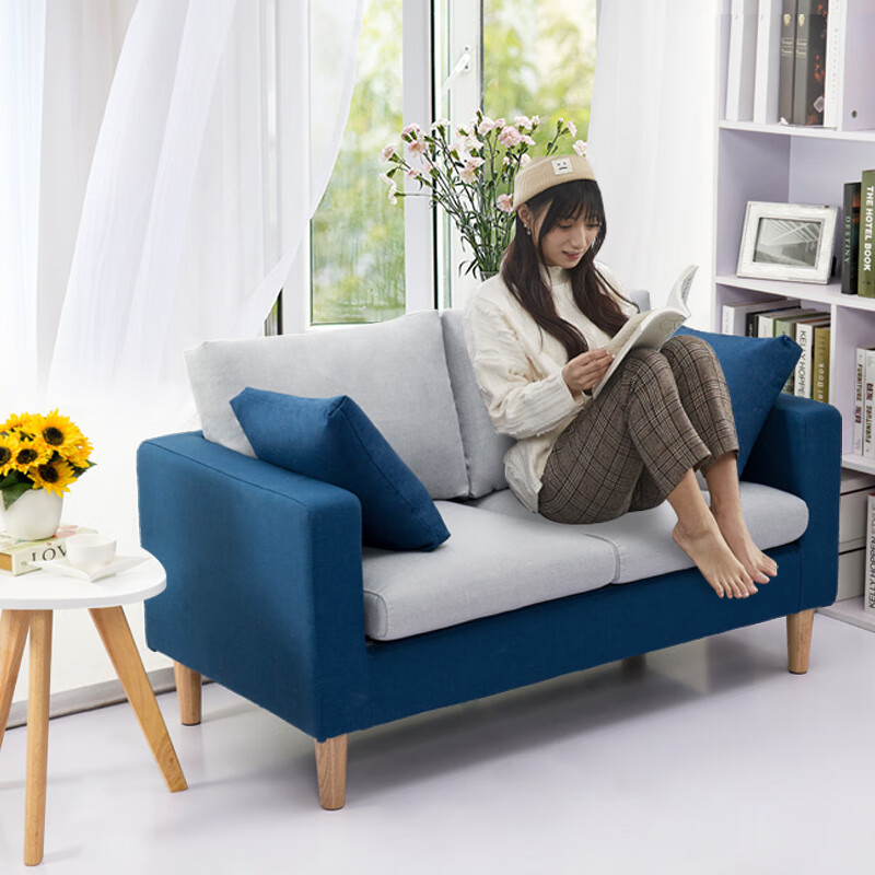L S Sofa North European Style Modern Small Apartment Living L S Sofa North European Style Modern Small Apartment Living Room Fabric Double Chair S121