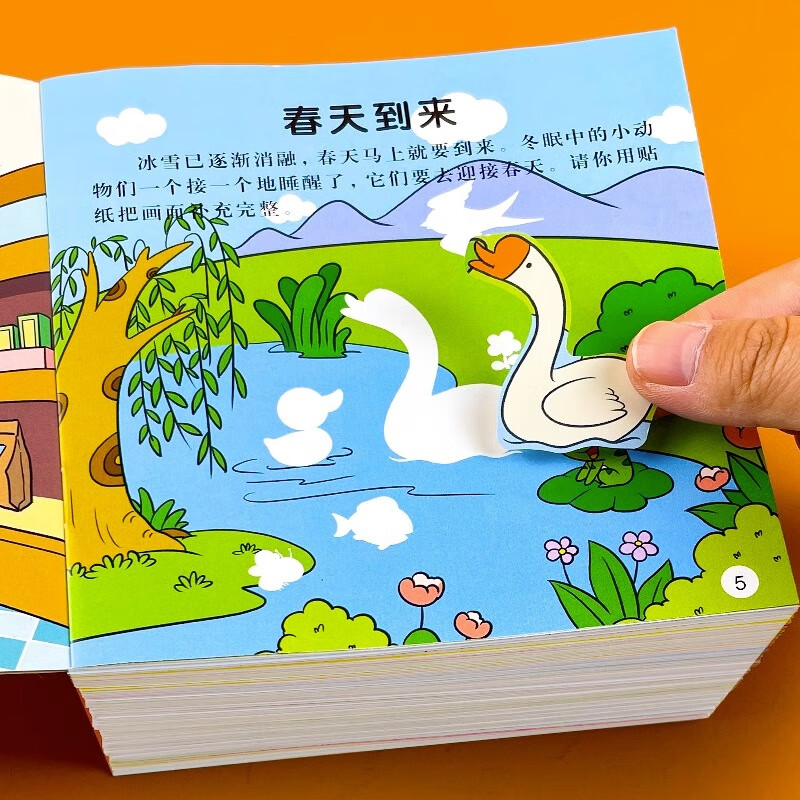 Focus Game Sticker Book