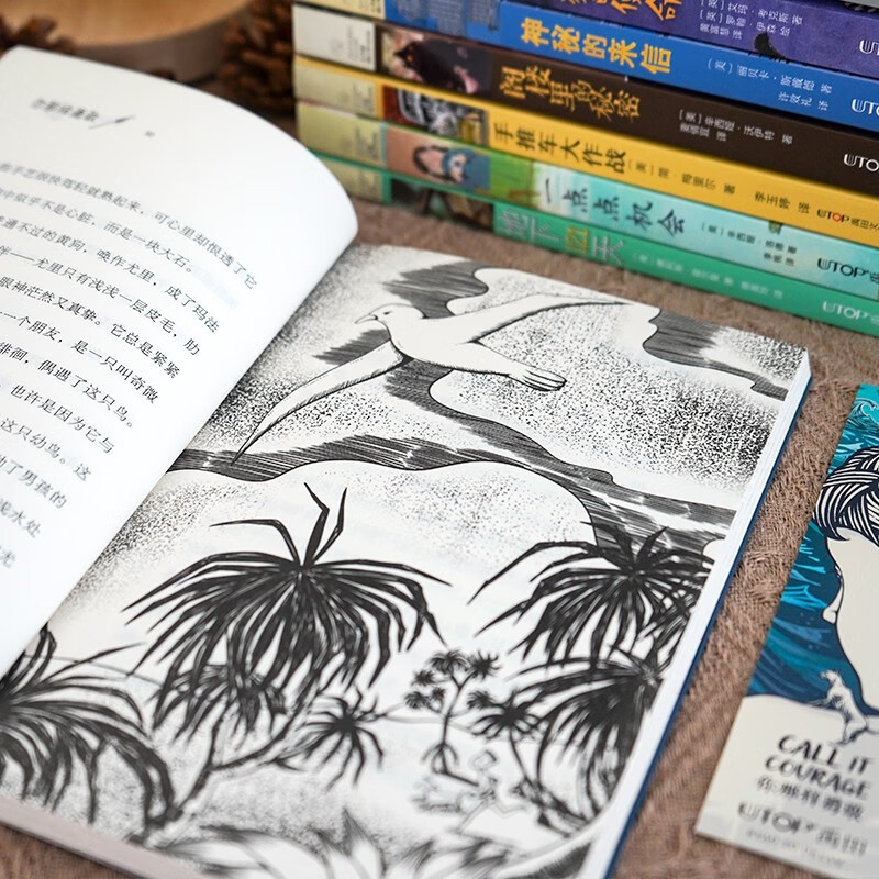 8 selected volumes of Ivy League International Award novels, detective crime solving, science fiction, courage and other themed novels. Must-read for grade 3, 4, 5, and 6 in elementary schools. Must-read for elementary and middle schools. Extracurricular reading of International Children’s Literature Award classics that influence children’s lives.