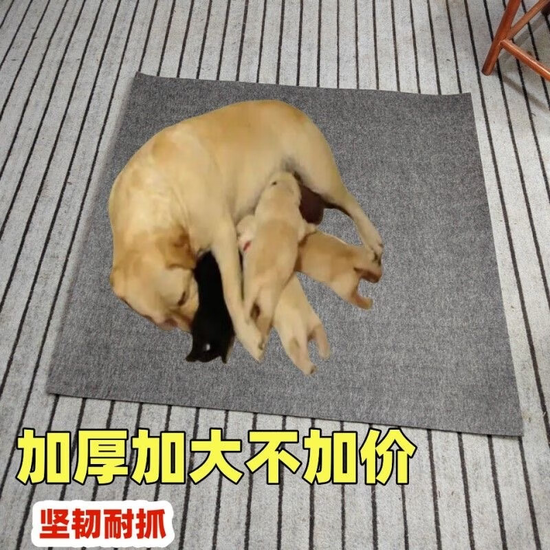 Pet mat is wear-resistant and suitable for all seasons, thickened and dirt-resistant, dog sleeping warm mat, anti-tearproof dog cage, 100*120 thickened deodorizing belt
