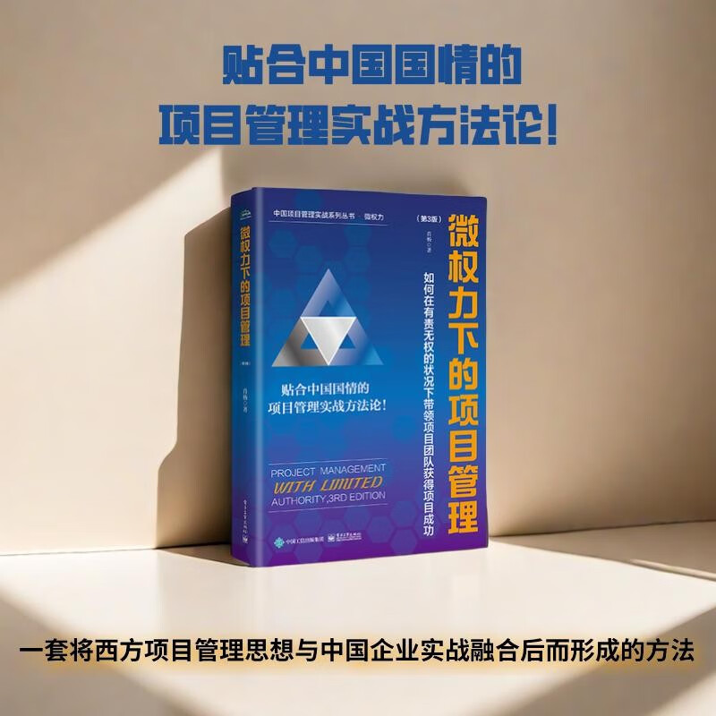 Project management under micro-power: How to lead the project team to achieve project success under a situation of responsibility but no authority (3rd edition)