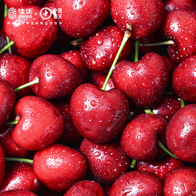 JOYVIO Australian Tasmanian cherries 3J grade 1kg gift box, fruit diameter about 30-32mm, straight from the source