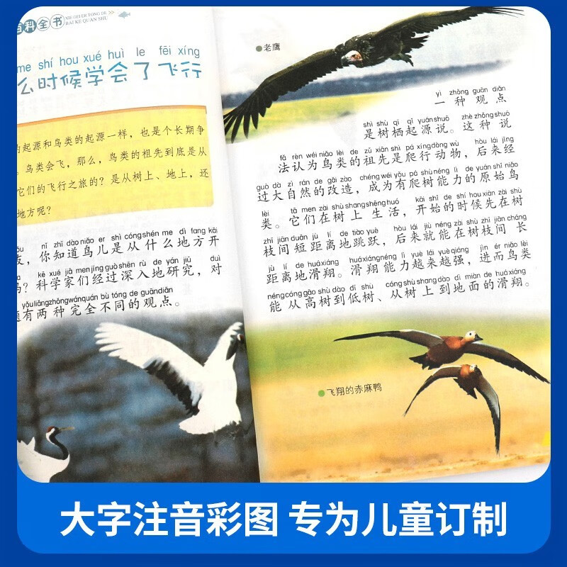 Complete 6 volumes, encyclopedia for children, animal world, dinosaur empire, insect mysteries, bird kingdom, marine life, plant paradise, Chinese popular science books for children and adolescents