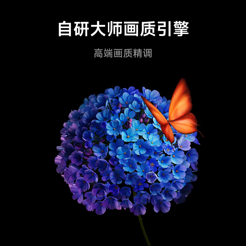 Xiaomi (MI) TV S75 Mini LED package installation version (fixed rack, delivered and installed) 75 inches, 512 partitions, 4+64GB, first-class energy-efficiency home appliance