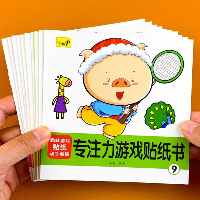 Focus Game Sticker Book