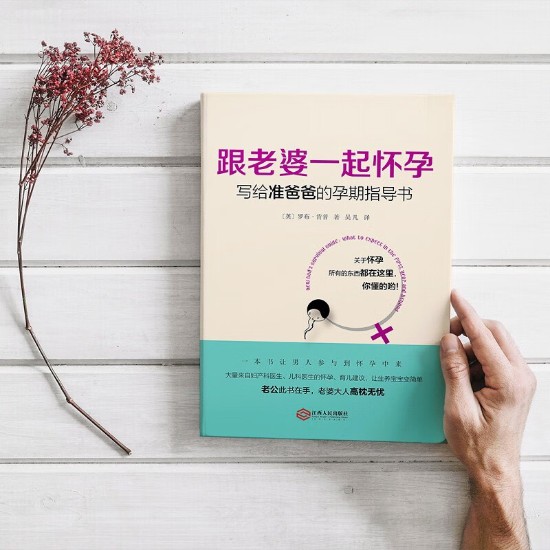 Pregnancy with my wife: Pregnancy guide for fathers-to-be