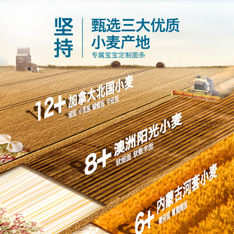 Heyangyang Infant Noodles Nutritional Food Complementary Noodles No Added Salt White Sugar Noodles for Children Over 6 Months 2-Stage Wheat Aged Soft Thin Noodles Original Flavor 180g