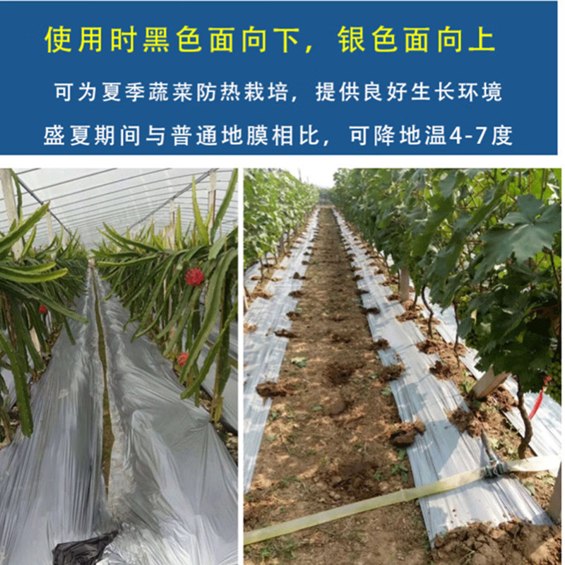 Nong Da Ge silver and black two-color mulch film reflective mulch film for agricultural planting thickened plastic film strawberry vegetable black mulch film insulation 20 pounds 2 silk silver black film 1.5 meters wide 290 meters long