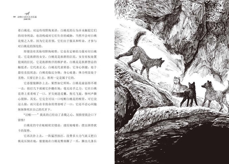 Wild Dog Queen, King of Animal Novels, Shen Shixi's Collection of Books, New Edition, Extracurricular Children's Literature Storybook for Primary School Students in Grades Three, Four, Five, and Sixth Grade, Children's Book Reading Genuine