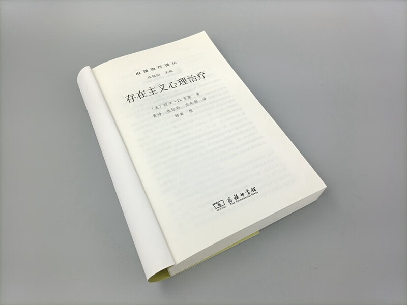 Existential Psychotherapy Professor Yaron’s Classic Textbook Deep Understanding of Death, Freedom, Loneliness and Meaninglessness Psychotherapy Translation Series
