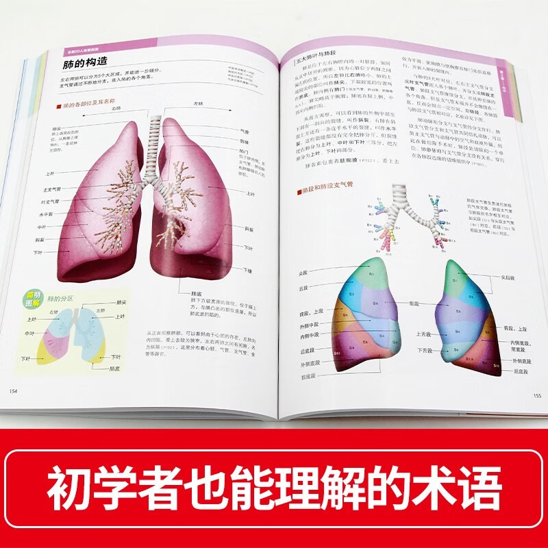 New 3D human anatomy diagram, human muscle anatomy, sports anatomy, section atlas, anatomy book textbook, professional basics of health anatomy and physiology, medical book anatomy atlas, more than 200 full-color precision atlas, human anatomy book