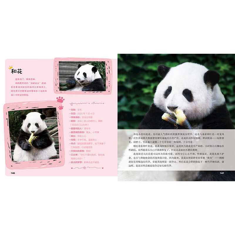 Guolai! Giant Panda This is an original giant panda encyclopedia that explains the knowledge of giant pandas from all aspects and from multiple angles. It contains precious pictures of giant pandas and records wonderful moments such as games, eating, and fighting. It also specially includes the profiles of celebrity pandas Huahua, Heye, Menglan, and Qizai.